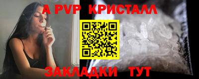 стаф Малгобек