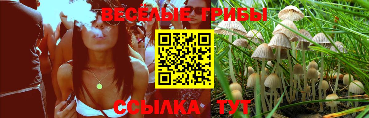 Псилоцибиновые грибы Cubensis Вятские Поляны